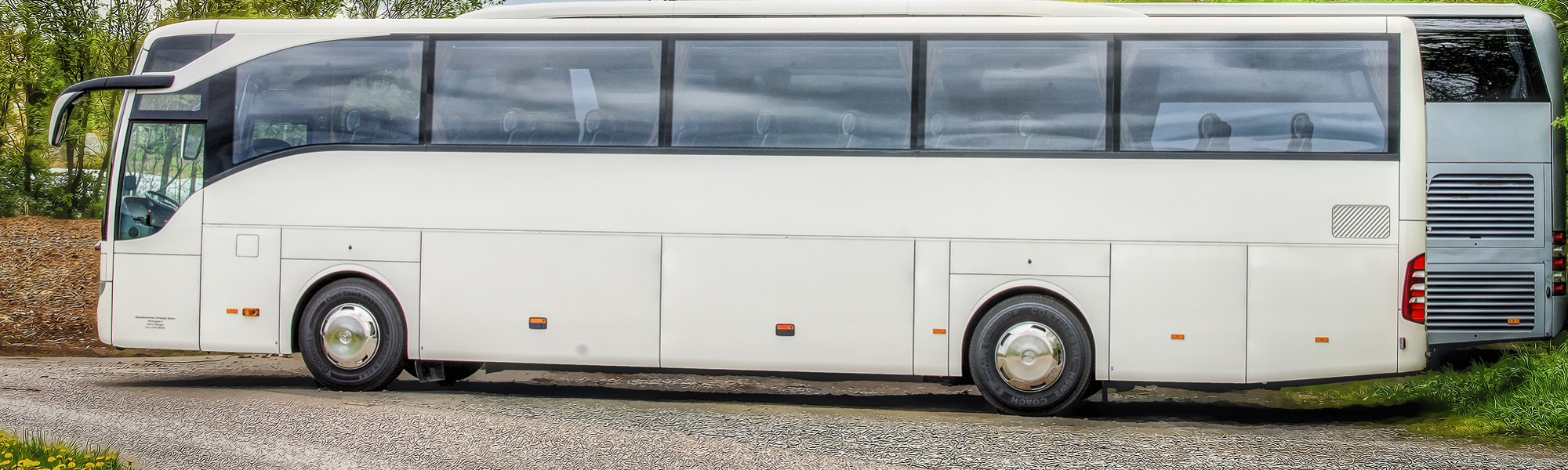 Round Trip Buses